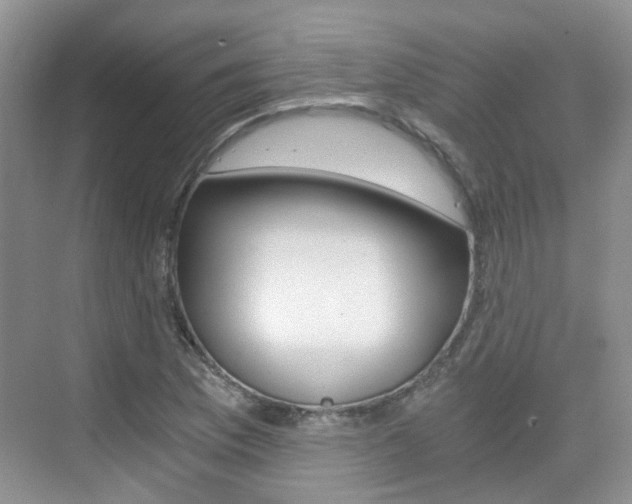 X0000076031169200609220845