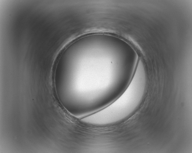 X0000076031173200609220845