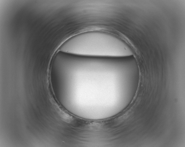 X0000076031178200609220845