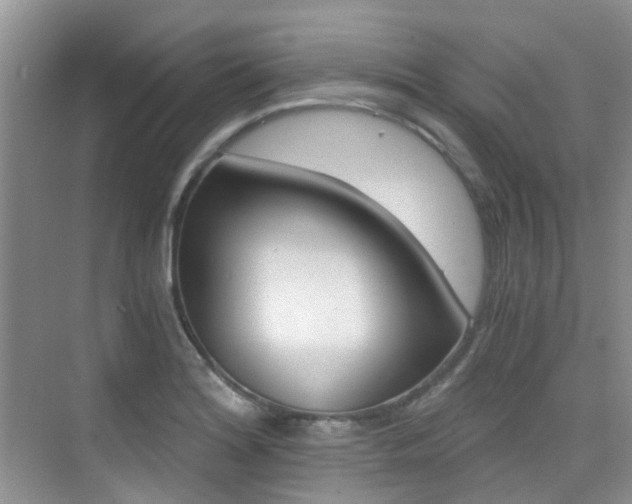 X0000076031180200609220845