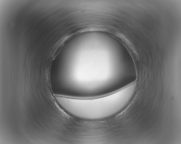X0000076031185200609220845