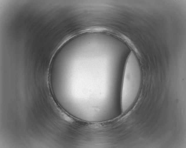 X0000076031186200609220845