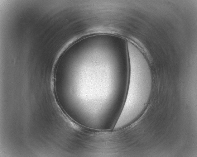 X0000076031188200609220845