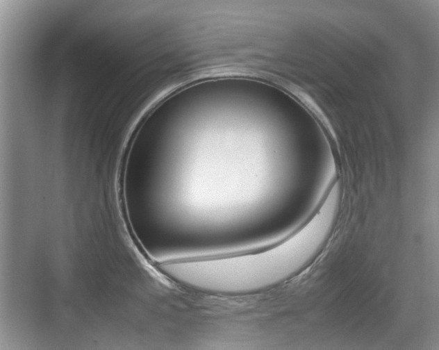 X0000076031197200609220845