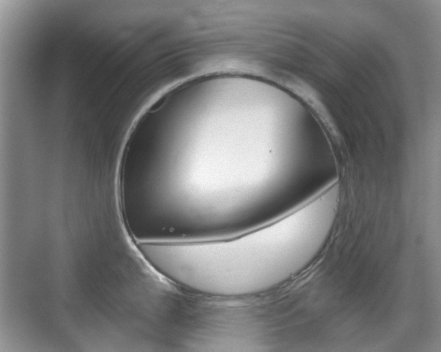 X0000076031199200609220845