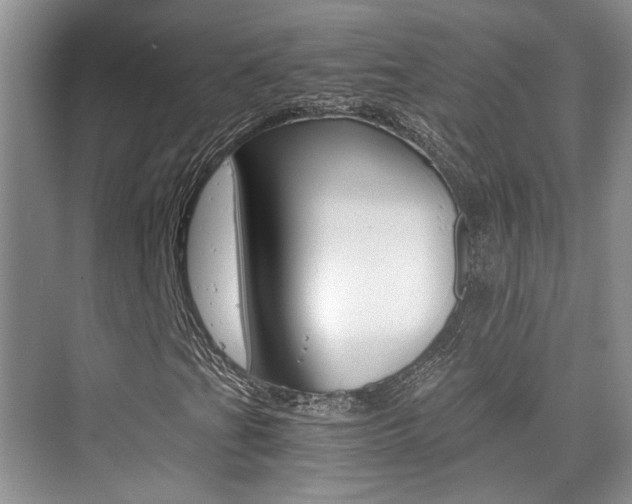 X0000076031201200609220844