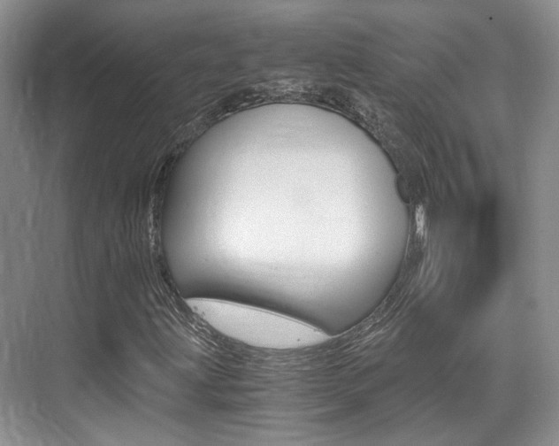 X0000076031203200609220844