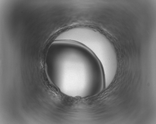 X0000076031206200609220844