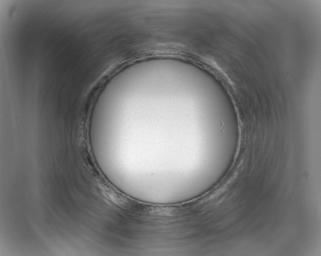 X0000076031211200609220844