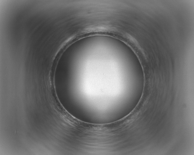 X0000076031218200609220844