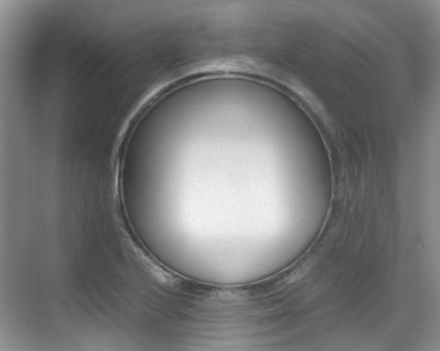 X0000076031224200609220844
