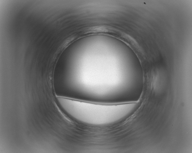 X0000076031225200609220844