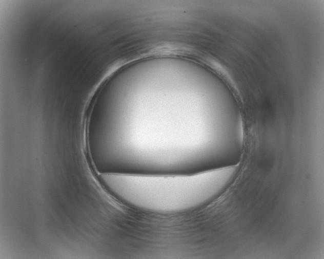 X0000076031227200609220844