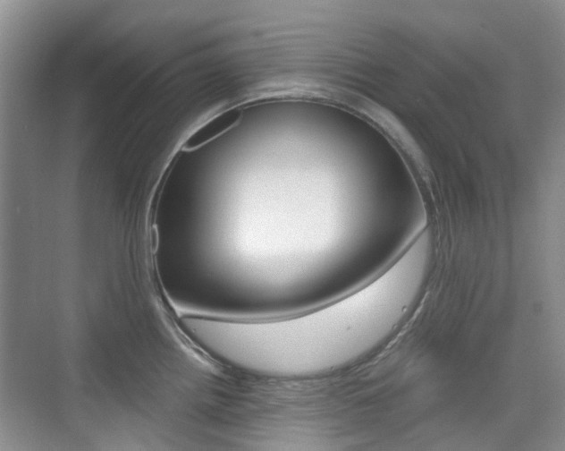 X0000076031242200609220844