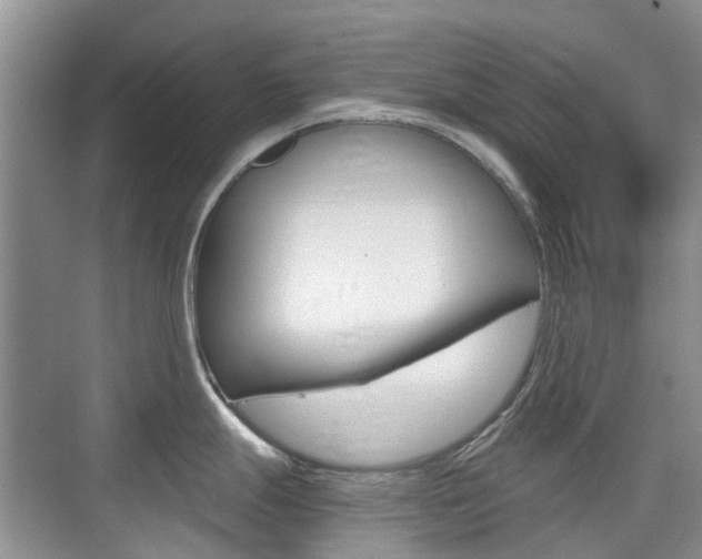 X0000076031247200609220844