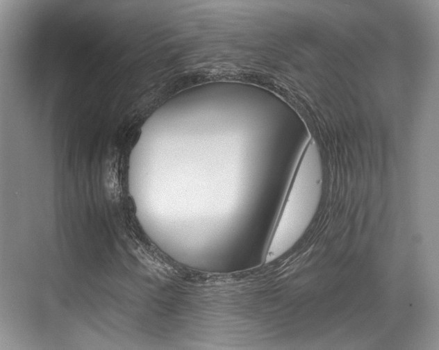X0000076031250200609220844