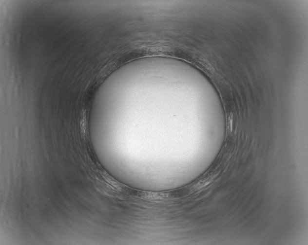 X0000076031251200609220844