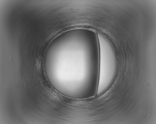 X0000076031257200609220844