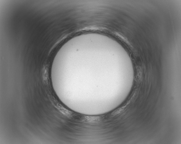 X0000076031258200609220844