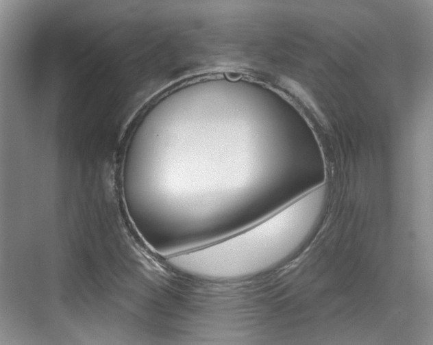 X0000076031260200609220843