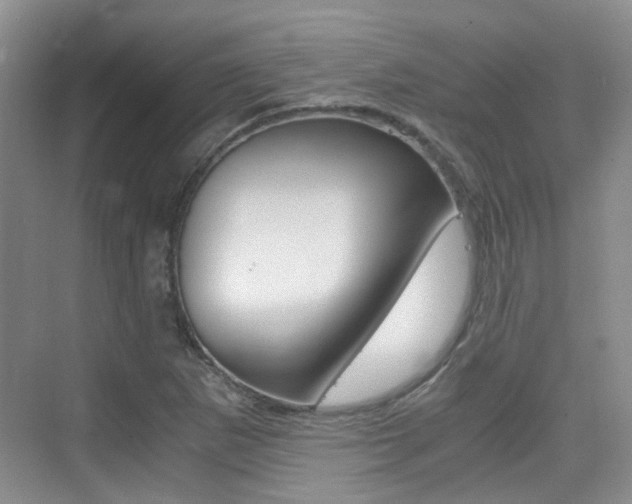 X0000076031265200609220843