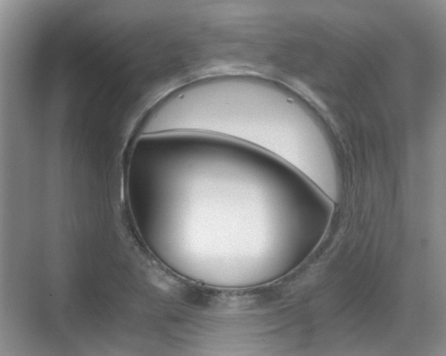 X0000076031269200609220843