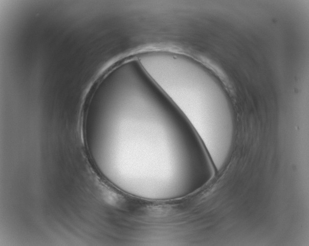 X0000076031272200609220843