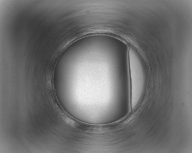 X0000076031273200609220843
