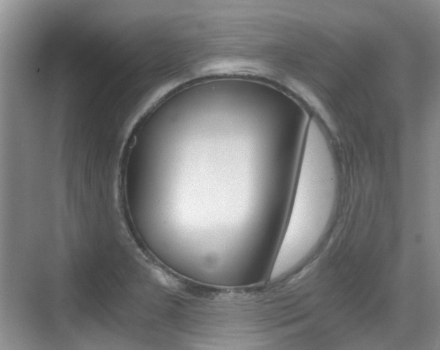 X0000076031277200609220843