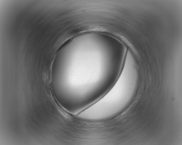 X0000076031281200609220843
