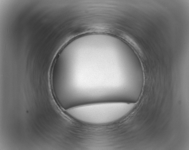 X0000076031283200609220843