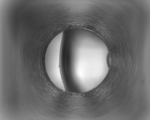 X0000076031297200609220842