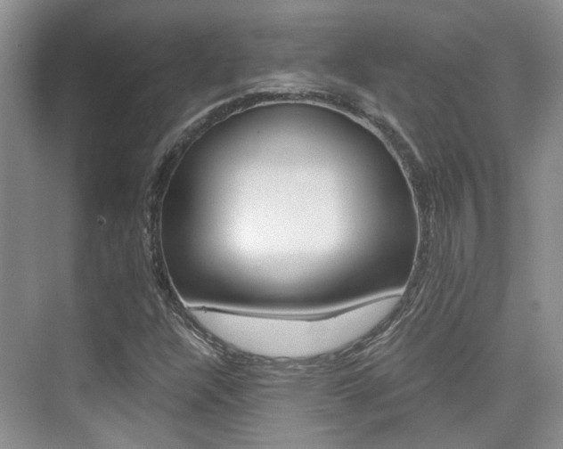 X0000076031304200609220842