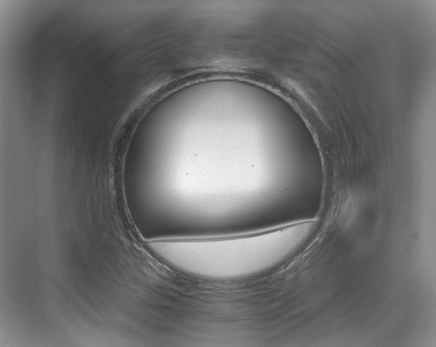 X0000076031307200609220842