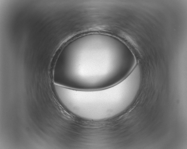 X0000076031308200609220842