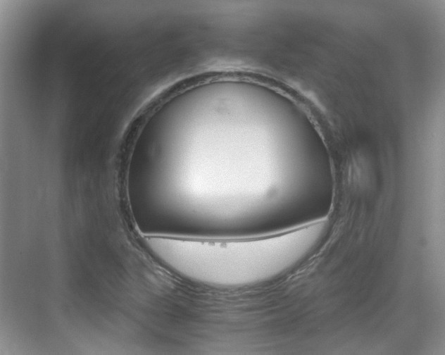 X0000076031311200609220842