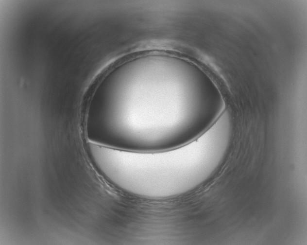X0000076031312200609220842
