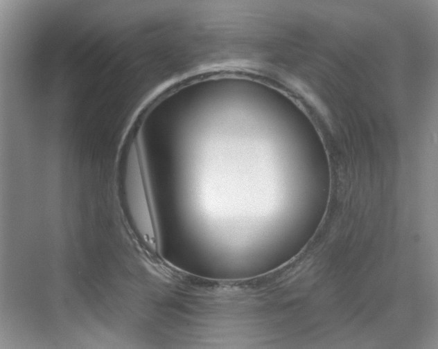 X0000076031316200609220842