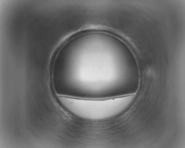 X0000076031319200609220842