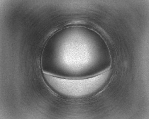 X0000076031321200609220842