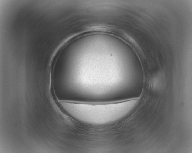 X0000076031323200609220843