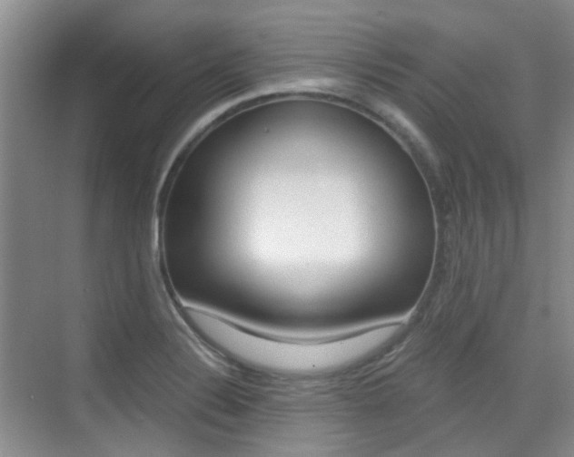 X0000076031324200609220843