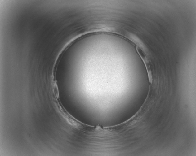 X0000076031332200609220843
