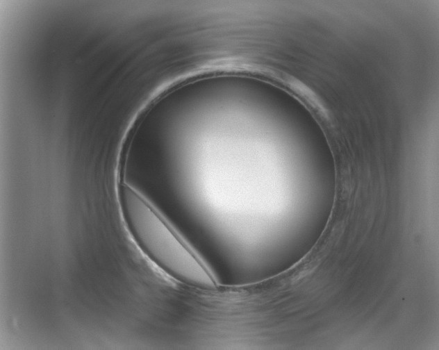X0000076031334200609220843