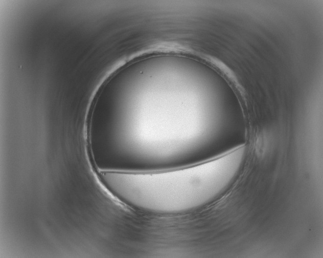 X0000076031335200609220843