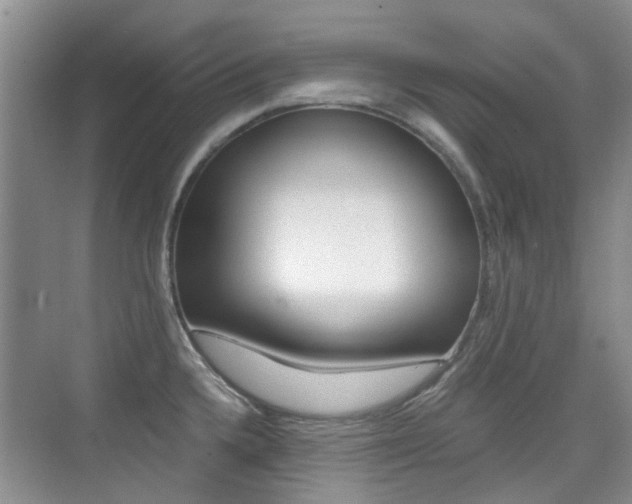 X0000076031336200609220843