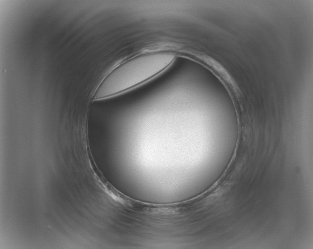 X0000076031337200609220843