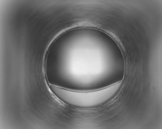 X0000076031342200609220843