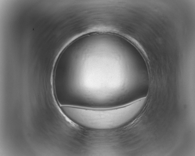 X0000076031343200609220843
