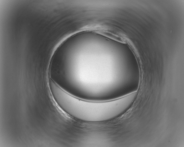 X0000076031344200609220843